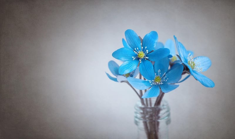 Floral Centerpiece